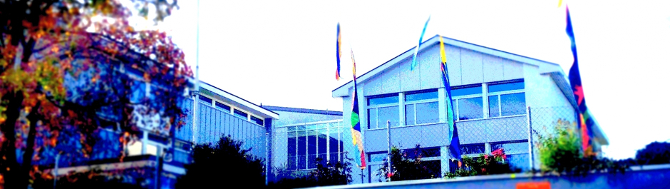 Schule Stein AR