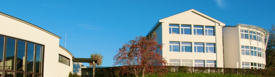 Schule Stein AR